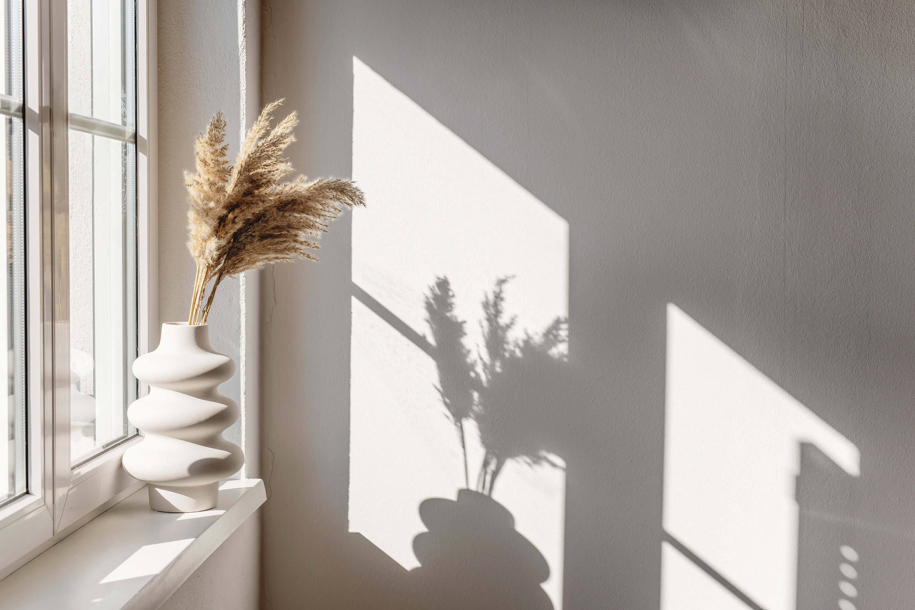 Shadow of a vase and feathered flowers sitting on a windowsill